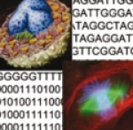 Bioinformatik - eine Anleitung zum Lesen der Gene