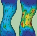Biomechanik - Schulterschluss zwischen Technik und Medizin am Beispiel des Herz-Kreislauf-Systems