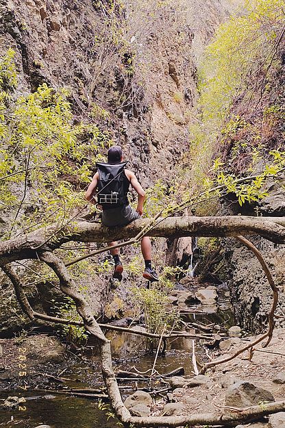 Baum Rucksack