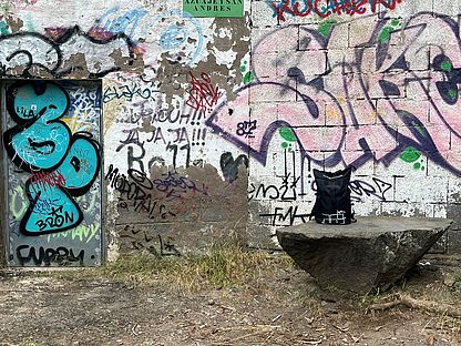 Graffiti Rucksack