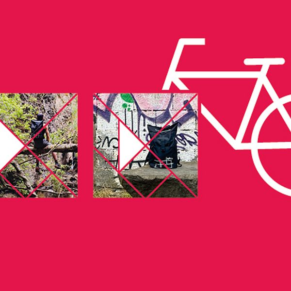 alumni WD2025-GS Image 404x404 2